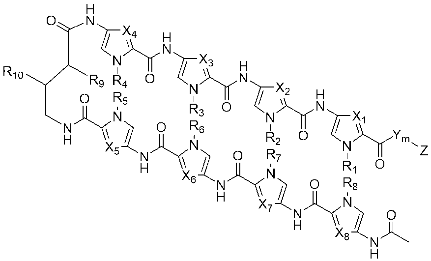 Figure JPOXMLDOC01-appb-C000029