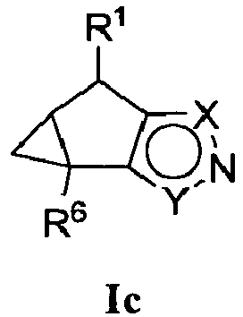 Figure imgb0010