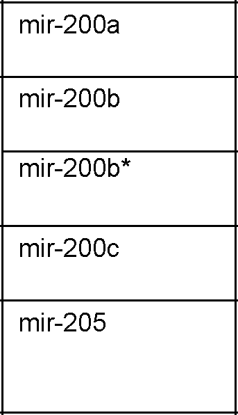 Figure imgf000055_0003