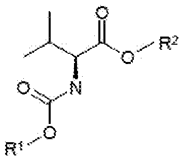 Figure imgf000031_0002
