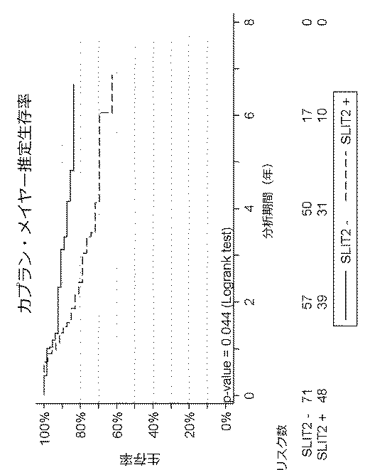 google patents