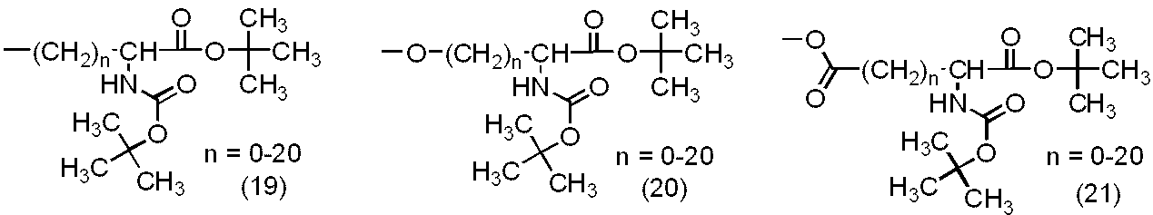 Figure JPOXMLDOC01-appb-C000023