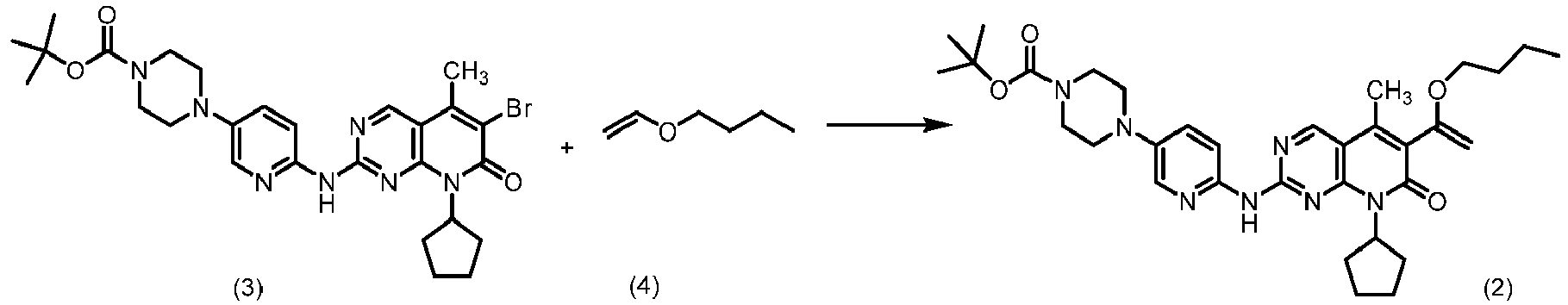 Figure imgb0010