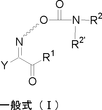 Figure JPOXMLDOC01-appb-C000007