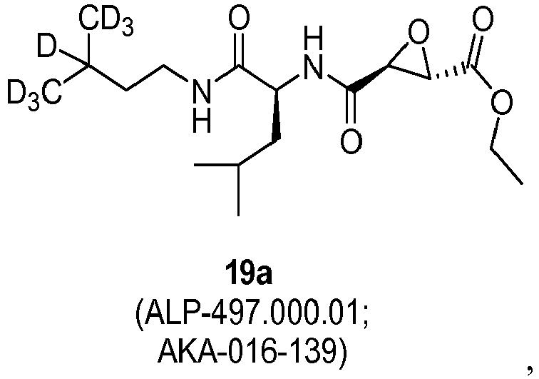Figure imgb0024