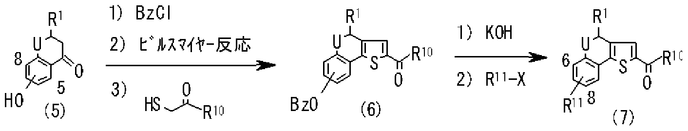 Figure imgf000013_0002