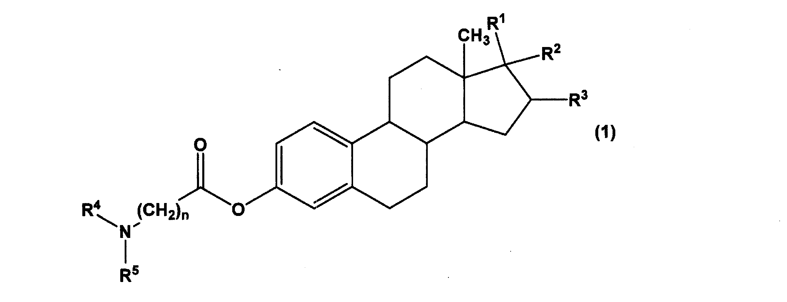 Figure JPOXMLDOC01-appb-C000013