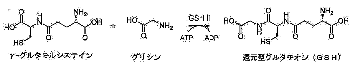 Figure JPOXMLDOC01-appb-C000008