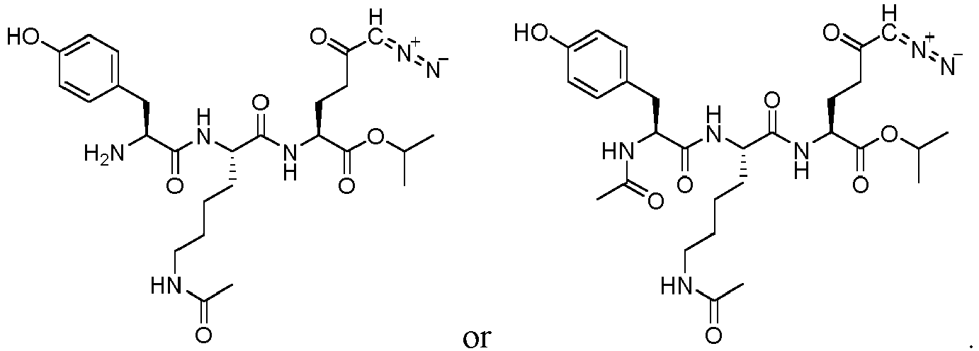 Figure imgb0088