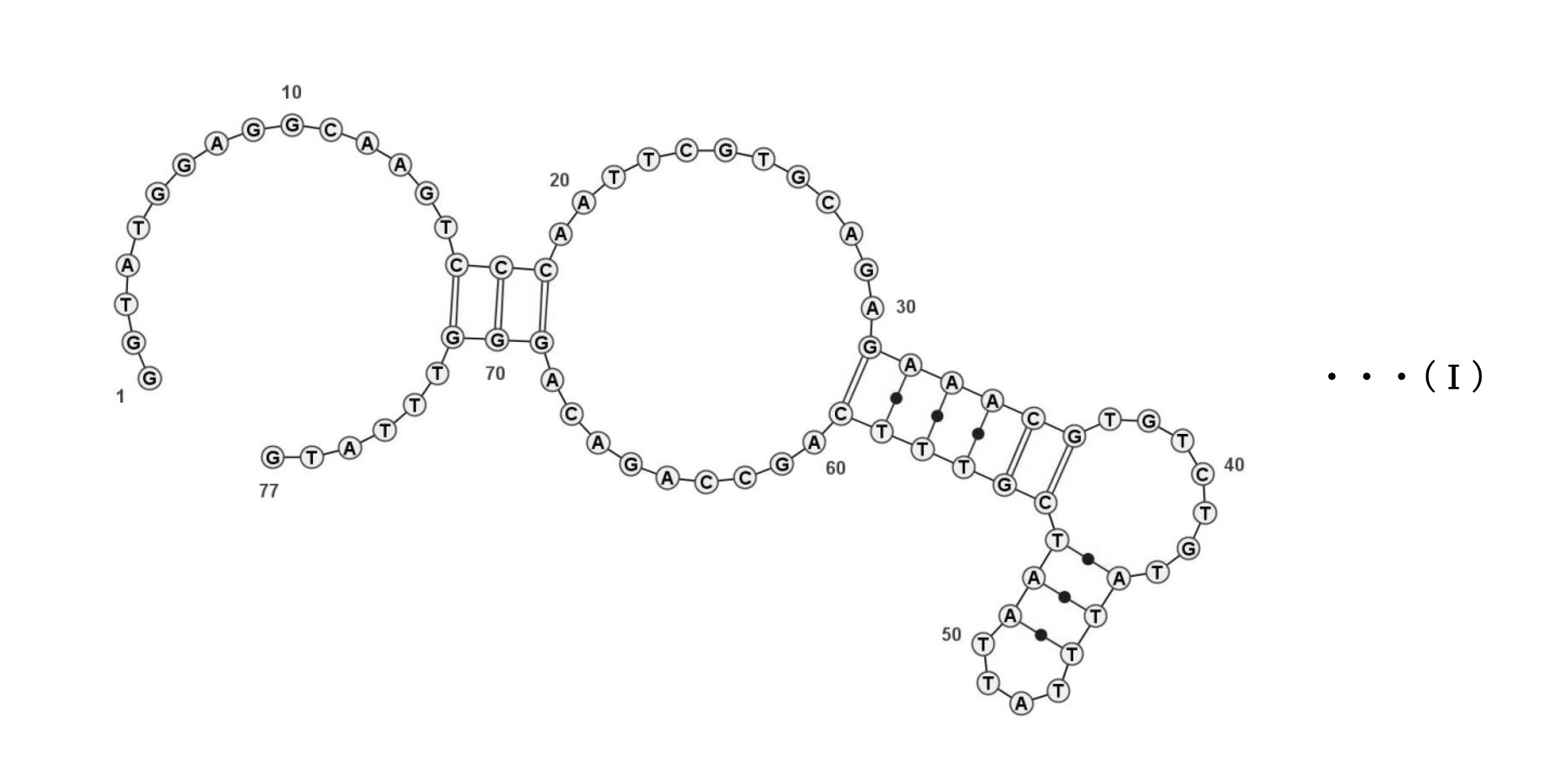 Figure JPOXMLDOC01-appb-C000012