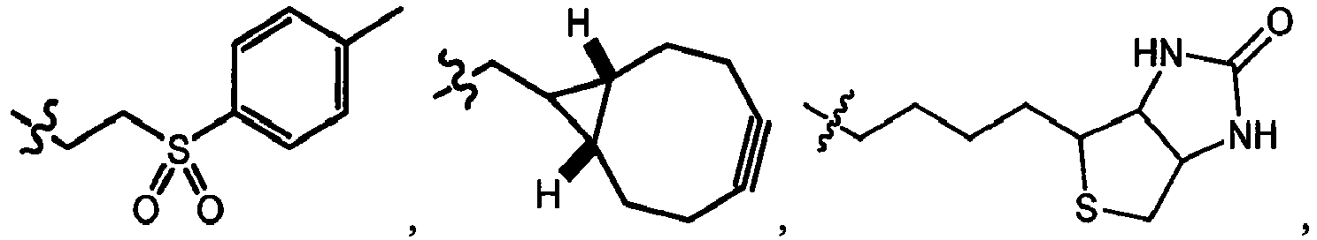 Figure imgb0006