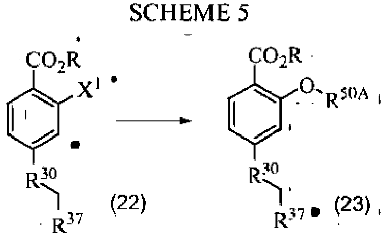 Figure imgb0019