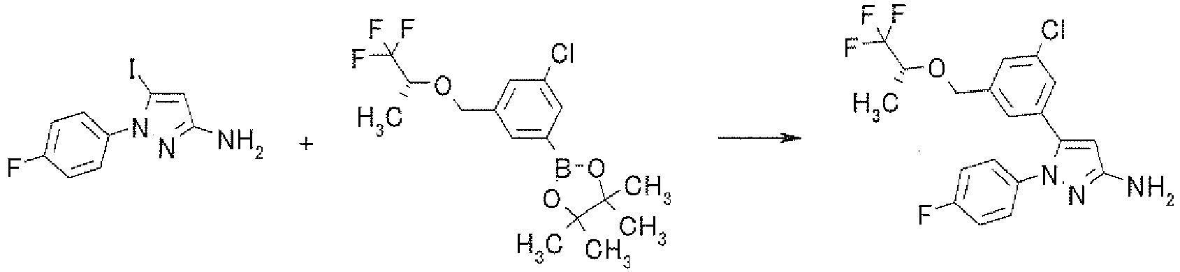 Figure imgb0248