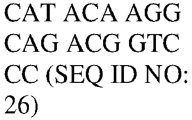 Figure imgb0025