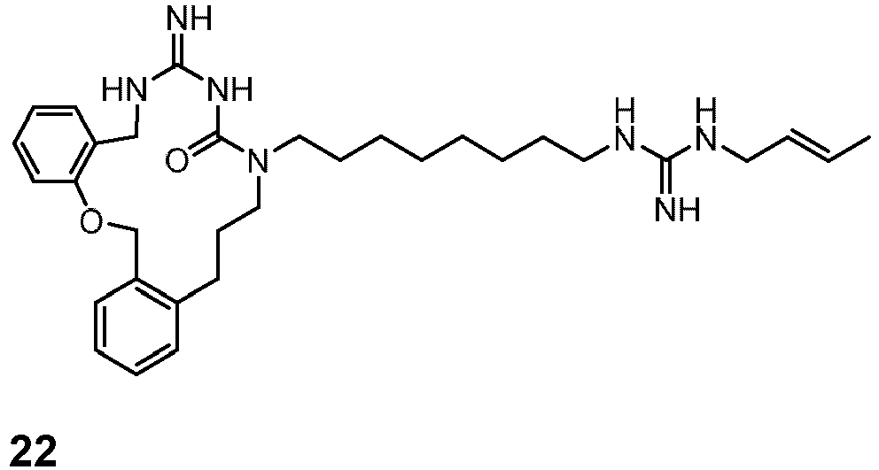 Figure imgb0053