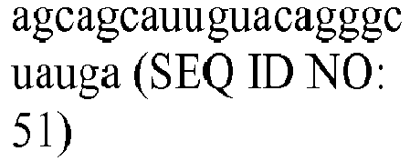 Figure imgb0053