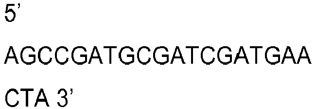 Figure imgb0015