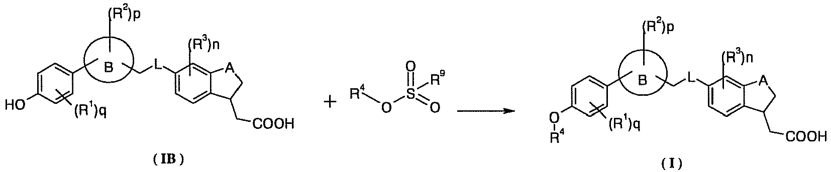 Figure imgb0046