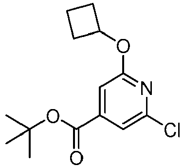 Figure imgb0506