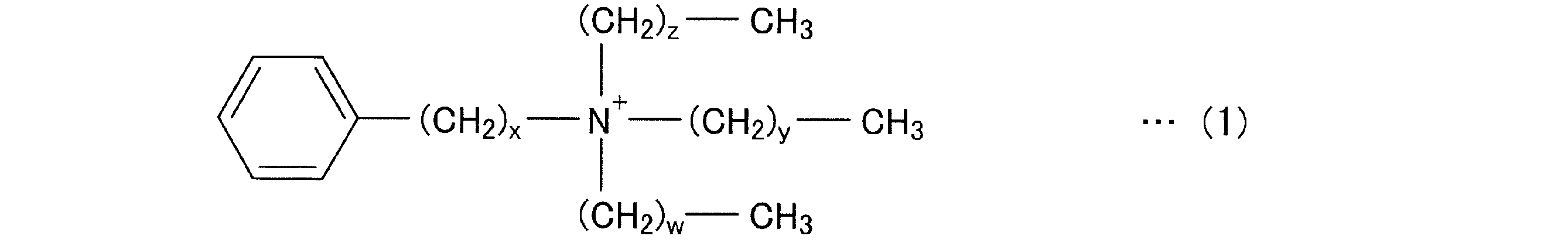 Figure JPOXMLDOC01-appb-C000001