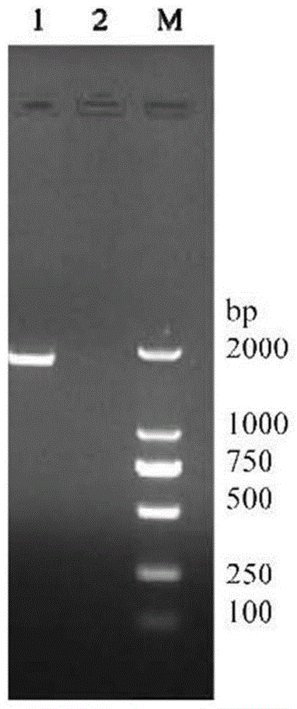 Figure 202110621093
