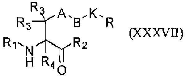 Figure imgb0101