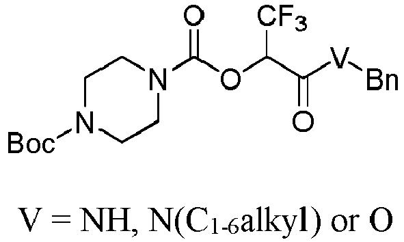 Figure imgb0110