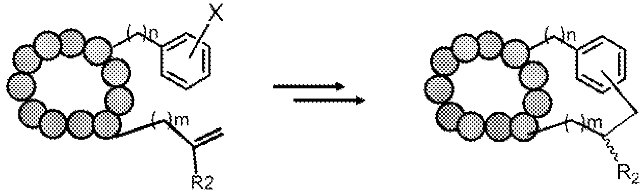 Figure imgb0041