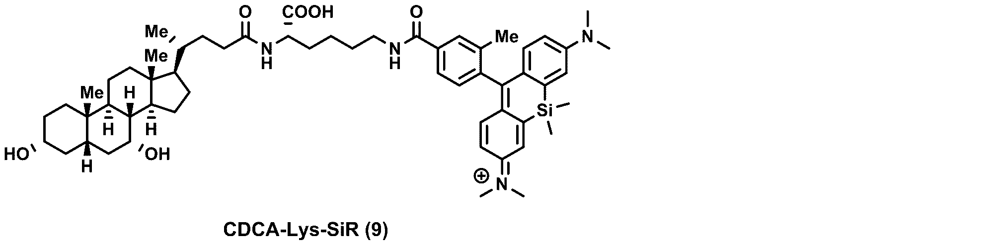 Figure JPOXMLDOC01-appb-C000031