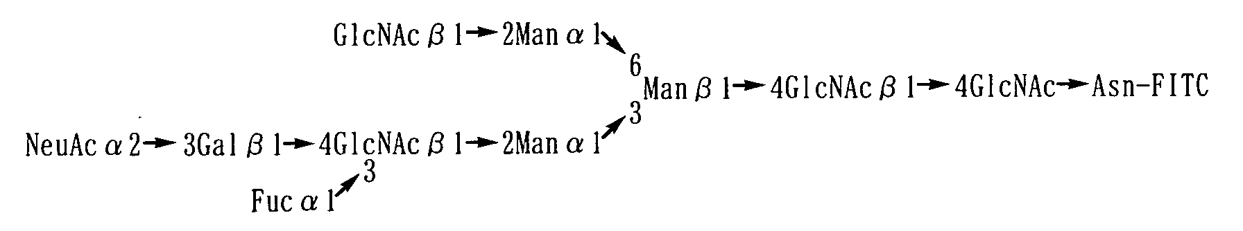 Figure 01040005