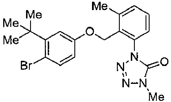 Figure imgb0176
