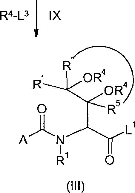 Figure BRPI0806307B1_D0031