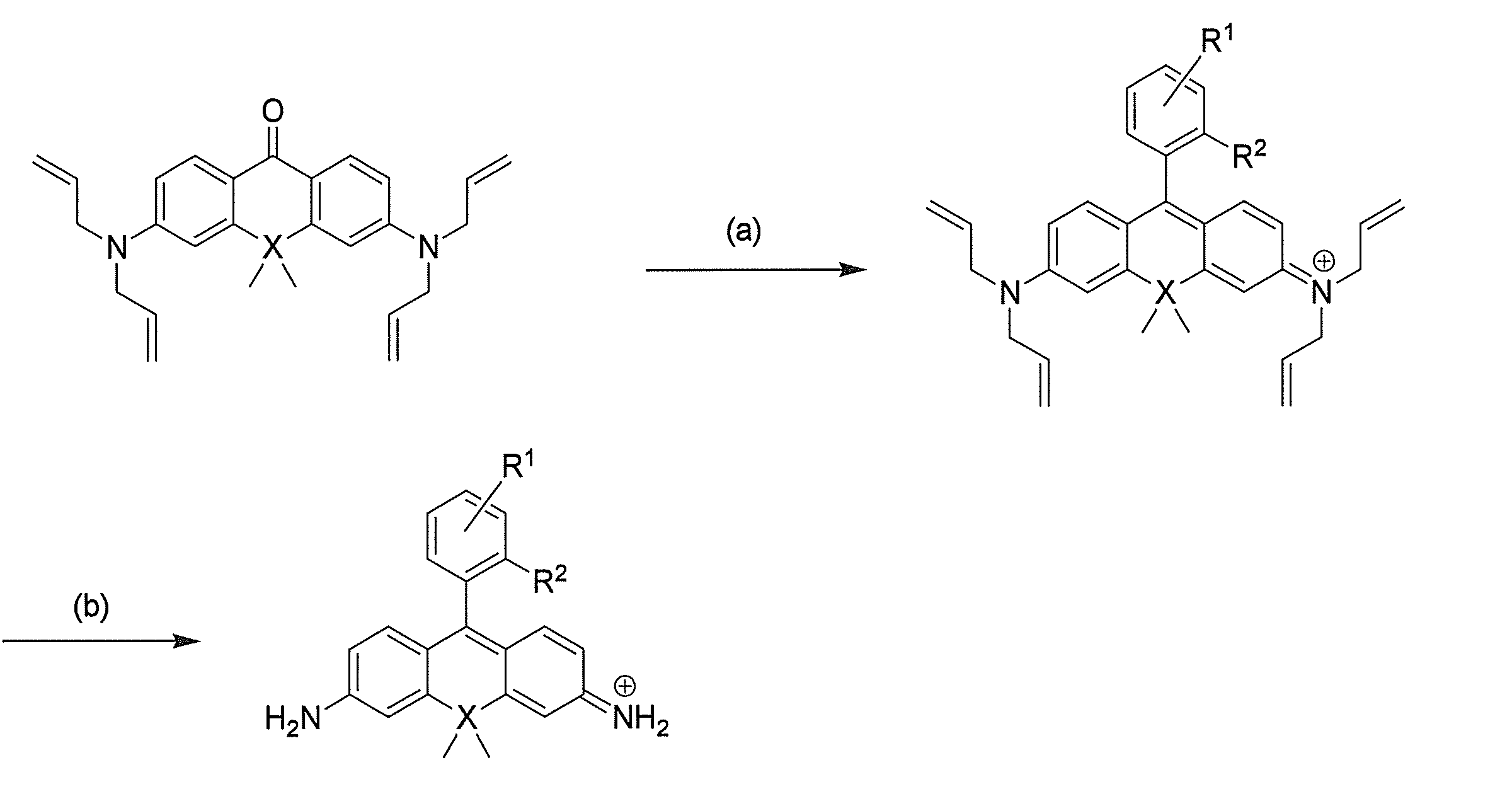 Figure JPOXMLDOC01-appb-C000023