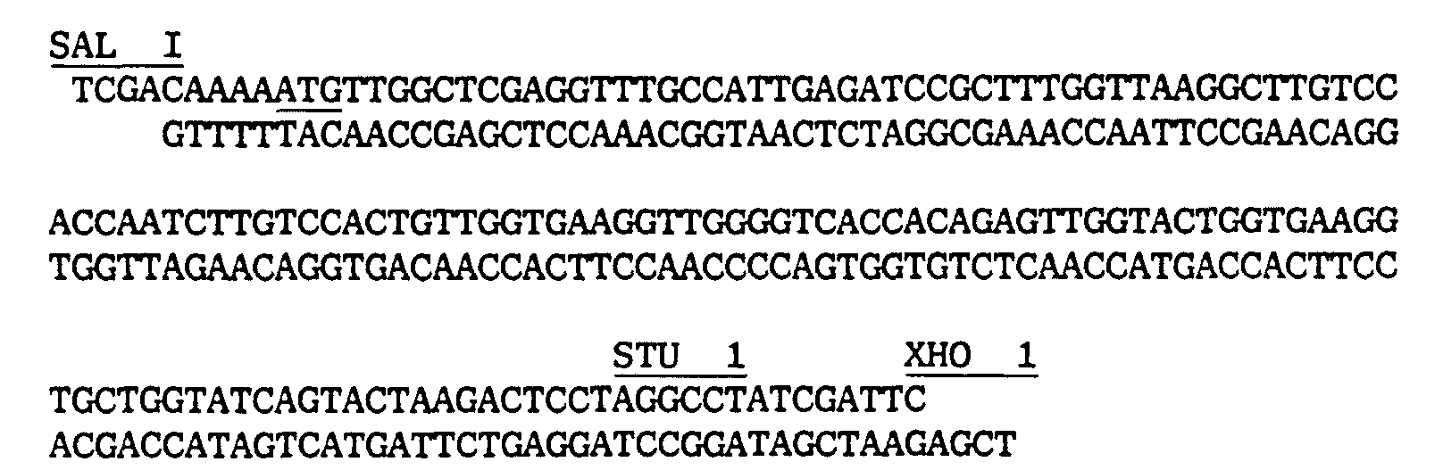 Figure 00310001