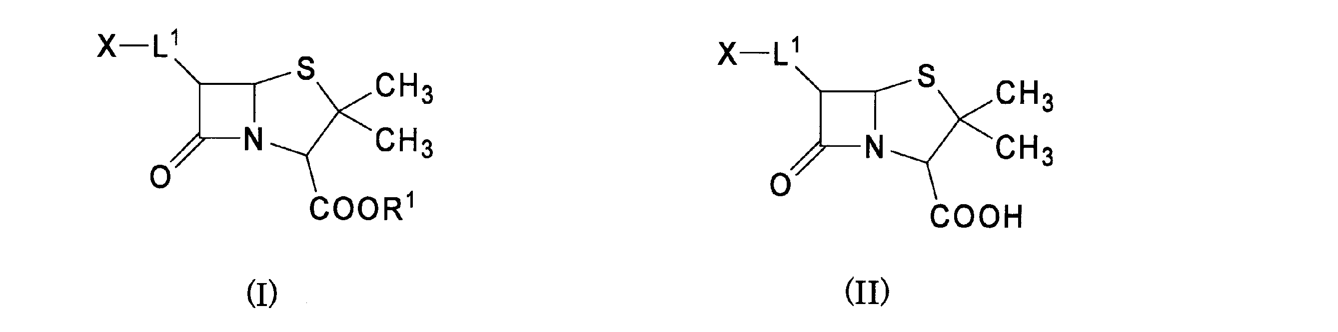 Figure JPOXMLDOC01-appb-C000001