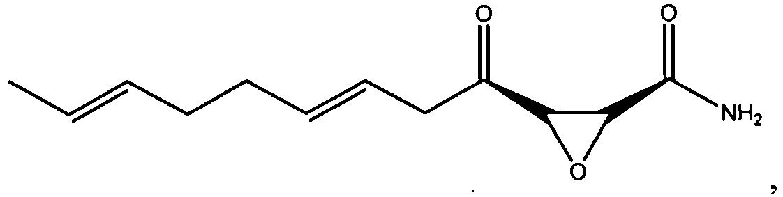 Figure imgb0113