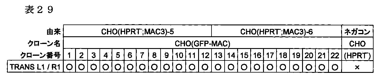 Figure JPOXMLDOC01-appb-T000080