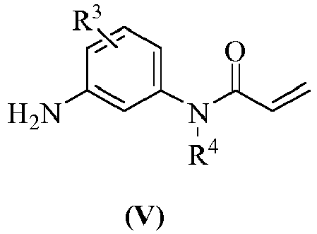 Figure imgb0155