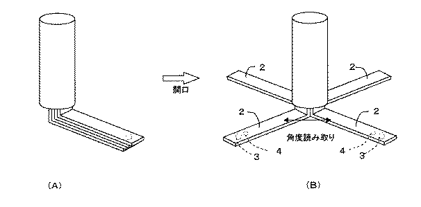 Figure 2004305525