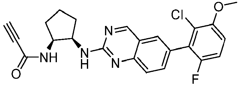 Figure imgb0024