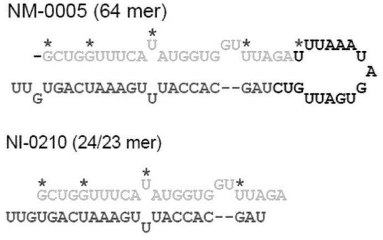 Figure JPOXMLDOC01-appb-C000041