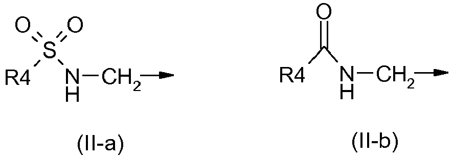 Figure imgb0004