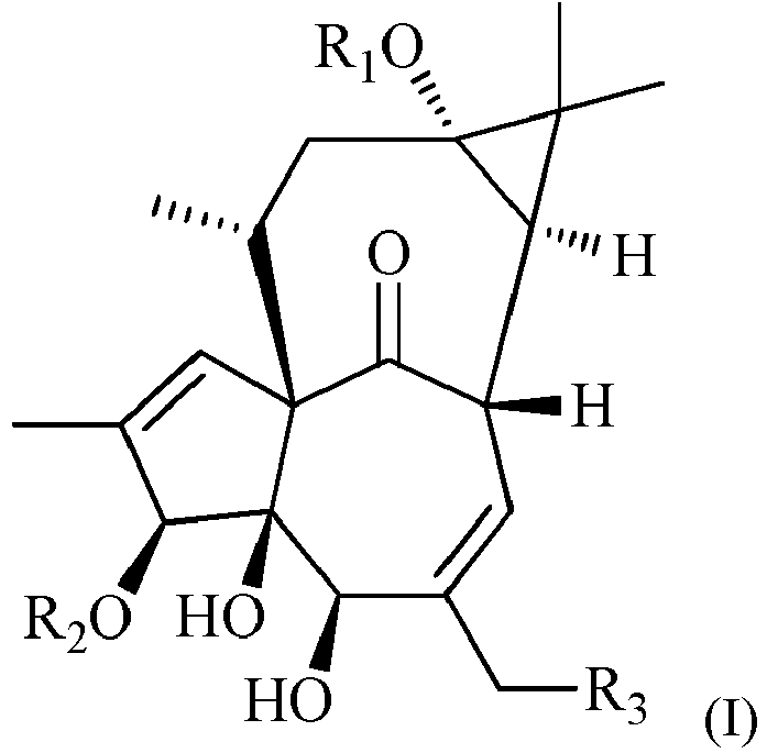 Figure imgb0253