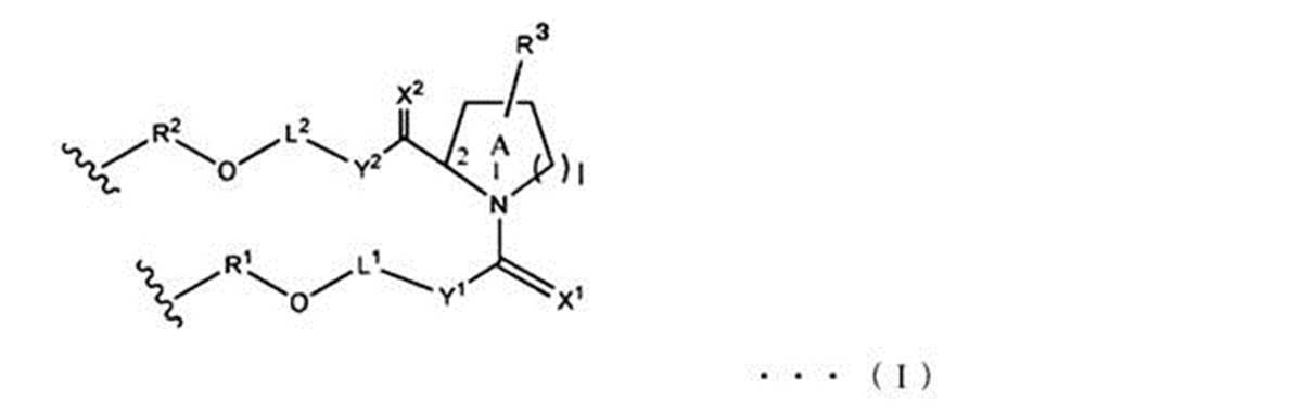 Figure JPOXMLDOC01-appb-C000006