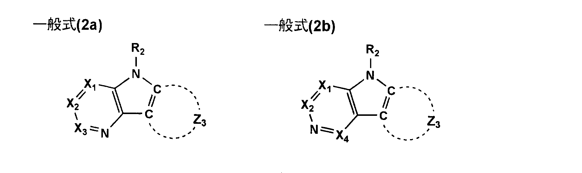 Figure JPOXMLDOC01-appb-C000008