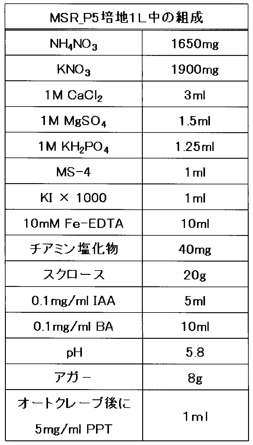 Figure JPOXMLDOC01-appb-T000003