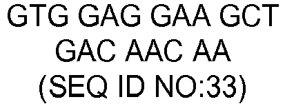 Figure imgb0033