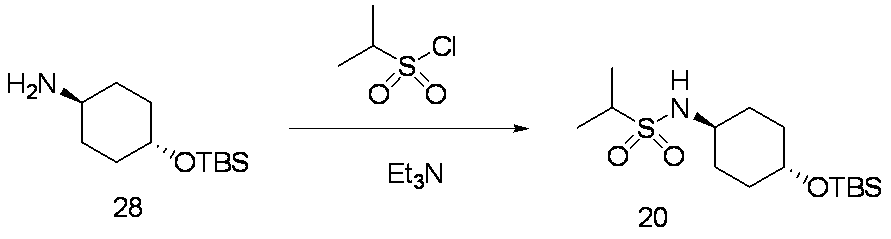 Figure JPOXMLDOC01-appb-C000052