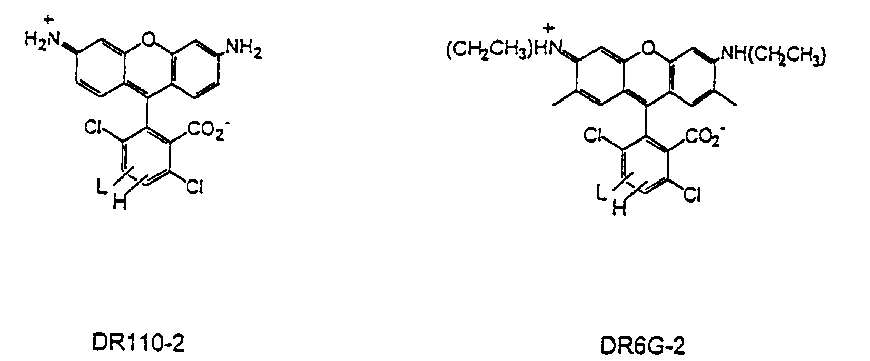 e. r. prostata x1 6 24 e. r. prostata x1 6 24
