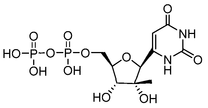 Figure imgf000053_0002